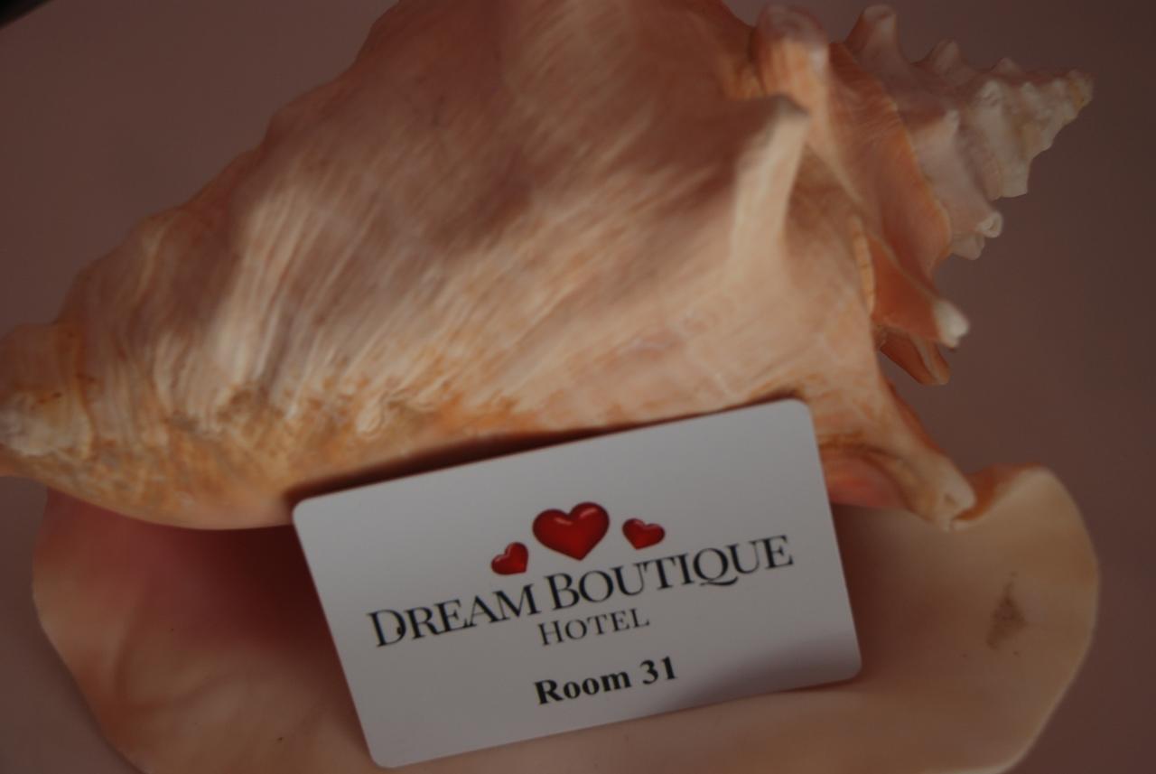 Dream Boutique Apartments Νικήτη Εξωτερικό φωτογραφία